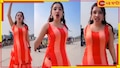 Viral Video: হাইওয়েতে পিস্তল হাতে রিলের শ্যুটিং! আইনের জালে তরুণী...