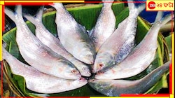ইলিশের দাম ১ লাখ টাকা! সারা বছরের মধ্যে সব চেয়ে বেশি দামে এখনই বিকোচ্ছে রুপোলি শস্য.