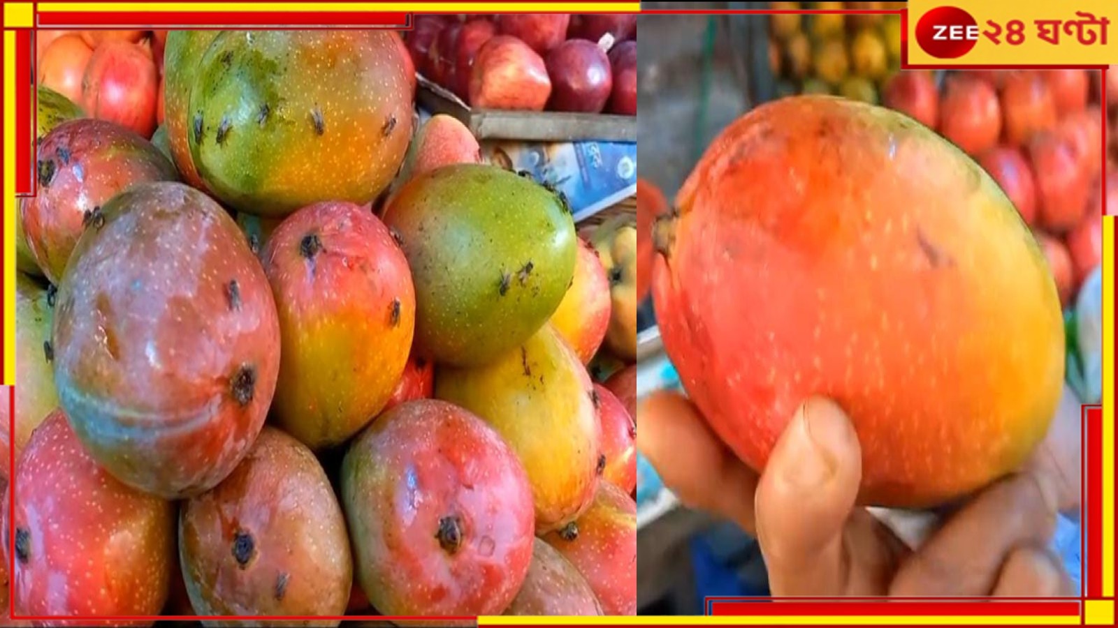 Mango Cultivation: তীব্র দাবদাহ, বৃষ্টি নেই!  ব্যাপক ক্ষতির মুখে আমের ফলন, মাথায় হাত চাষিদের 