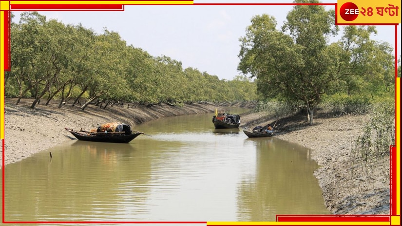 Sundarbans: সুন্দরবনে গুলির লড়াই! চোরাশিকারিদের গুলিতে &#039;খুন&#039; বনকর্মী...