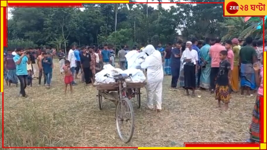 Mymensingh: পথ দেখাল শেয়াল, একই গর্তে মিলল ২ শিশু ও মহিলার পচাগলা মৃতদেহ