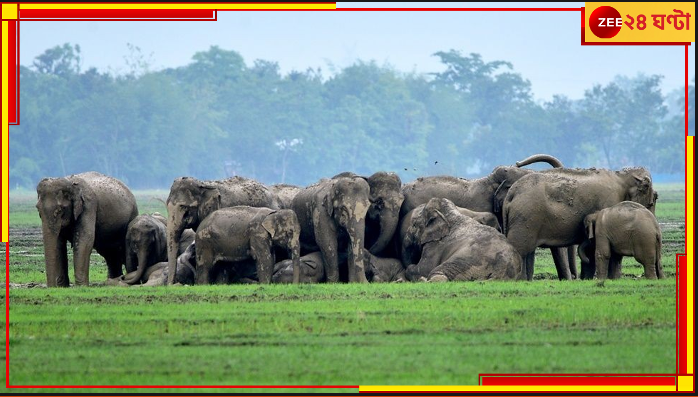 Jhargram: কীভাবে হবে ভোটগ্রহণ? ১০০ দাঁতাল দাপিয়ে বেড়াচ্ছে গোটা ঝাড়গ্রাম... Jhargram: কীভাবে হবে ভোটগ্রহণ? ১০০ দাঁতাল দাপিয়ে বেড়াচ্ছে গোটা ঝাড়গ্রাম...