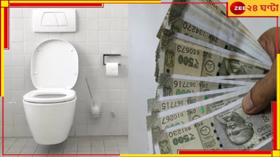 Company Buy Potty: পটি বেচেই কোটিপতি! চুক্তি করতে কনট্যাক্ট করুন এই কোম্পানিকে...