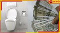 Company Buy Potty: পটি বেচেই কোটিপতি! চুক্তি করতে কনট্যাক্ট করুন এই কোম্পানিকে...