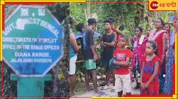 কাঠচোর সন্দেহের গুলি বনকর্মীদের! জঙ্গলে গোরু খুঁজতে গিয়ে মর্মান্তিক পরিণতি যুবকের