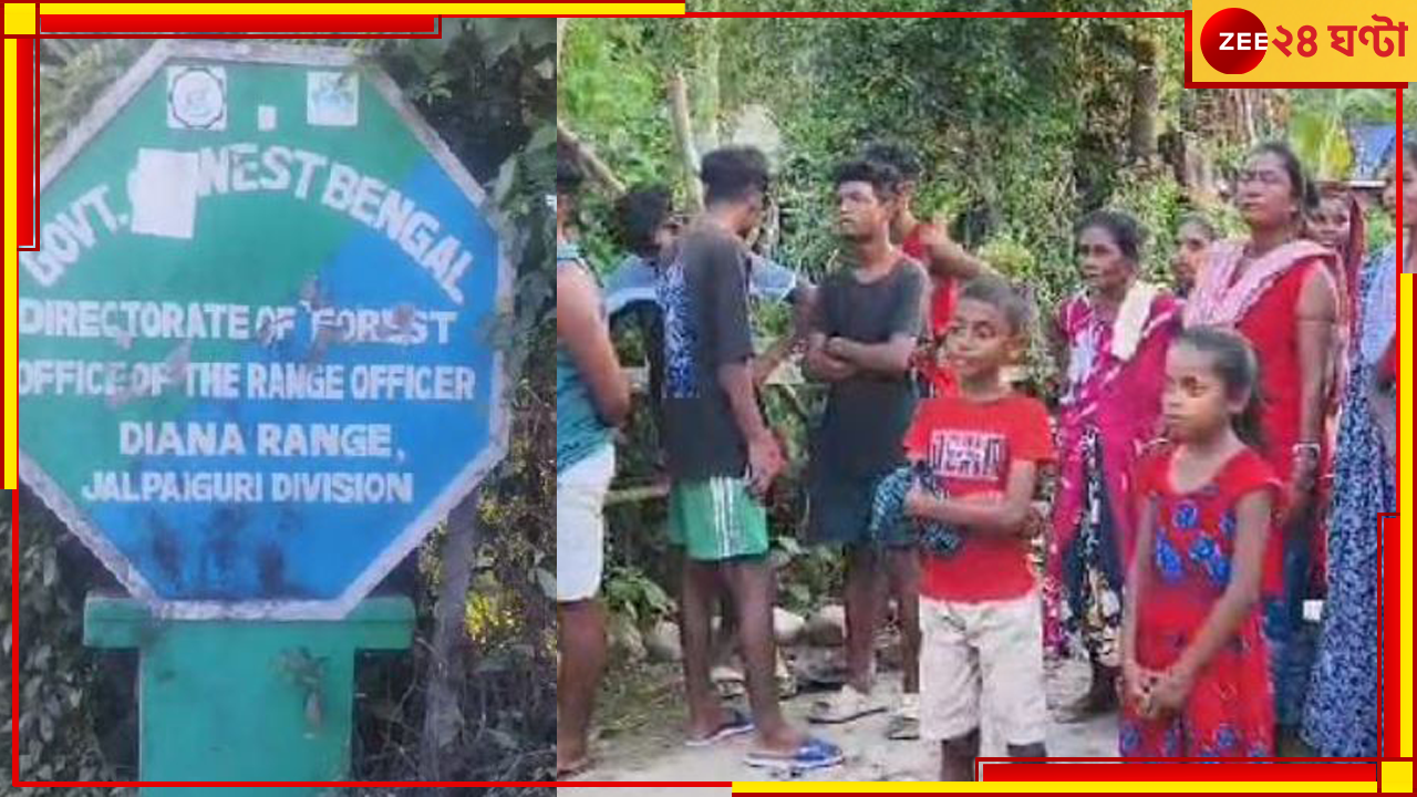 Dooars: কাঠচোর সন্দেহের গুলি বনকর্মীদের! জঙ্গলে গোরু খুঁজতে গিয়ে মর্মান্তিক পরিণতি যুবকের Dooars: কাঠচোর সন্দেহের গুলি বনকর্মীদের! জঙ্গলে গোরু খুঁজতে গিয়ে মর্মান্তিক পরিণতি যুবকের