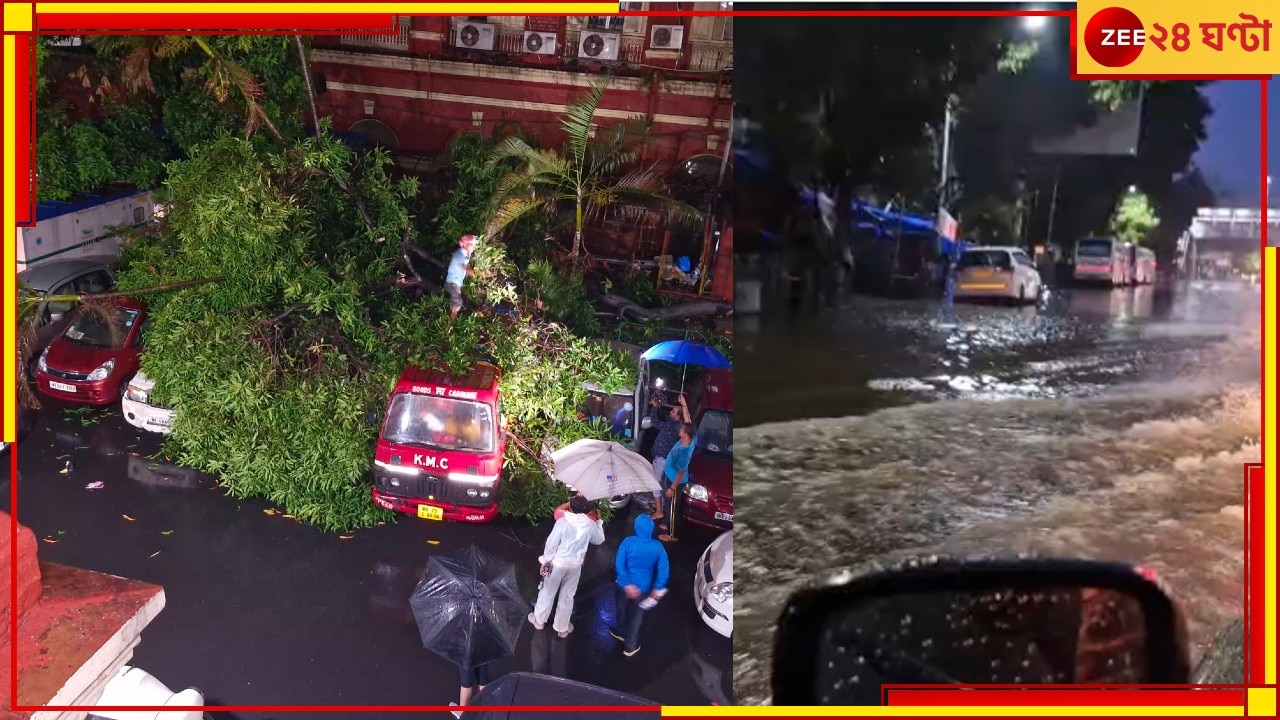 Cyclone Remal Latest Update: রিমাল কাড়ল প্রাণ কলকাতাতেও! আলিপুরে &#039;রেকর্ড&#039; ১৪৬ মিলিমিটার বৃষ্টি...