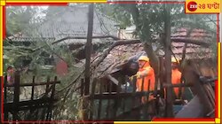 চারদিকে রিমালের ধ্বংসলীলার চিহ্ন! রাত থেকেই 'যুদ্ধ চালাচ্ছে' NDRF-ও...