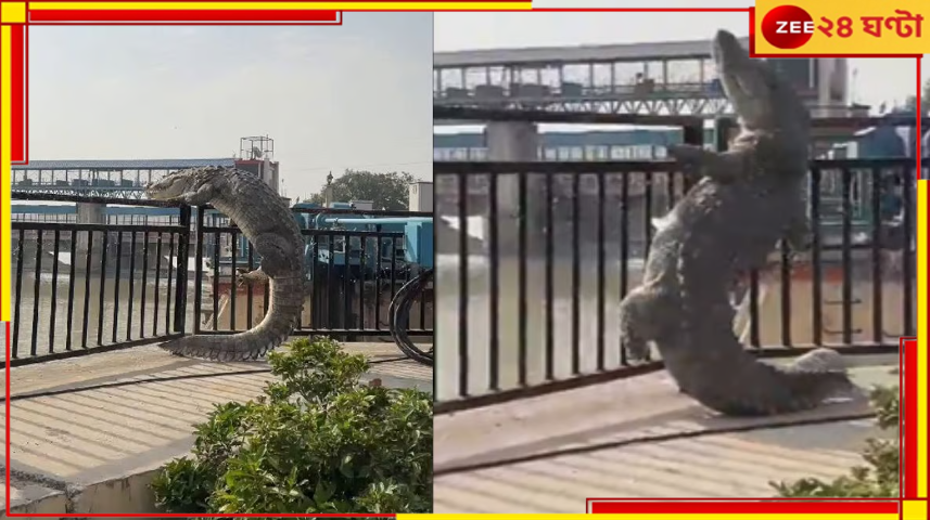 Viral Video: যোগীরাজ্যে একী কাণ্ড! রেলিং টপকাচ্ছে ১০ ফুটের কুমির, আতঙ্কে এলাকাবাসী... Viral Video: যোগীরাজ্যে একী কাণ্ড! রেলিং টপকাচ্ছে ১০ ফুটের কুমির, আতঙ্কে এলাকাবাসী...