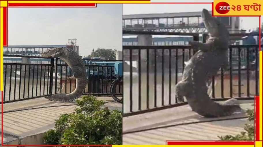 Viral Video: যোগীরাজ্যে একী কাণ্ড! রেলিং টপকাচ্ছে ১০ ফুটের কুমির, আতঙ্কে এলাকাবাসী...