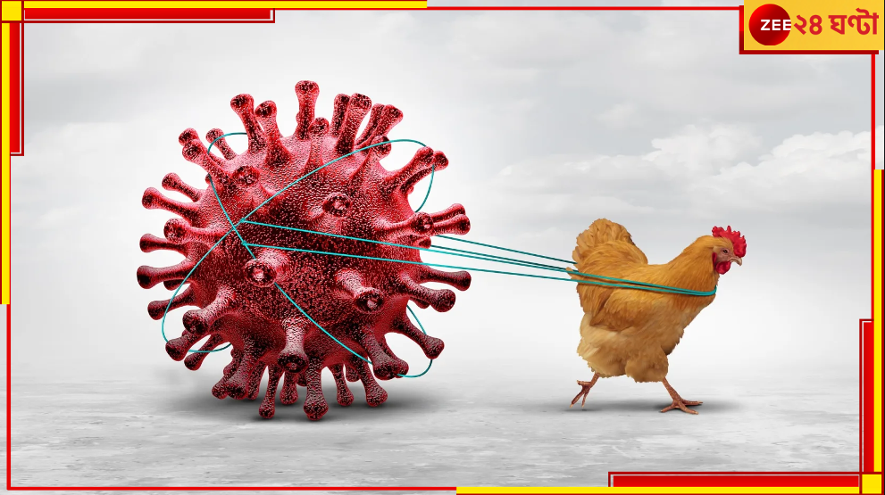 Advisory on Bird Flu: নতুন আতঙ্ক? বার্ড ফ্লু নিয়ে সতর্কতা জারি প্রশাসনের... Advisory on Bird Flu: নতুন আতঙ্ক? বার্ড ফ্লু নিয়ে সতর্কতা জারি প্রশাসনের...