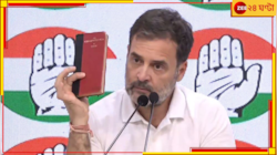 দুশো পার I.N.D.I.A-র! 'সংবিধান বাঁচানোর লড়াই করেছে কংগ্রেস', বললেন রাহুল
