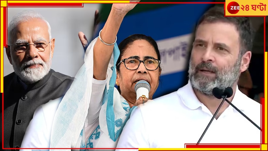 Lok Sabha Election 2024 Result:  কোমর বাঁধছে এনডিএ-ইন্ডিয়া ব্লক, জেনে নিন কোন দল পেল কত আসন