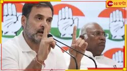জি নিউজের প্রশ্নেই সায়, এক্সিট পোল দুর্নীতির দায়ে মোদী-শাহের তদন্ত চাইলেন রাহুল!