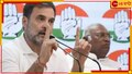Rahul Gandhi on Exit Poll Scam: জি নিউজের প্রশ্নেই সায়, এক্সিট পোল দুর্নীতির দায়ে মোদী-শাহের তদন্ত চাইলেন রাহুল!