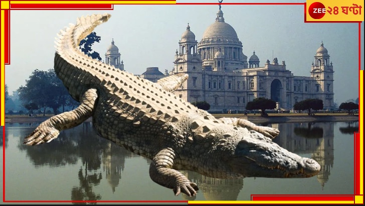 Crocodile in Kolkata: এবার খোদ কলকাতায় ভয়ংকর কুমির! আতঙ্ক গঙ্গার ঘাটে-ঘাটে...