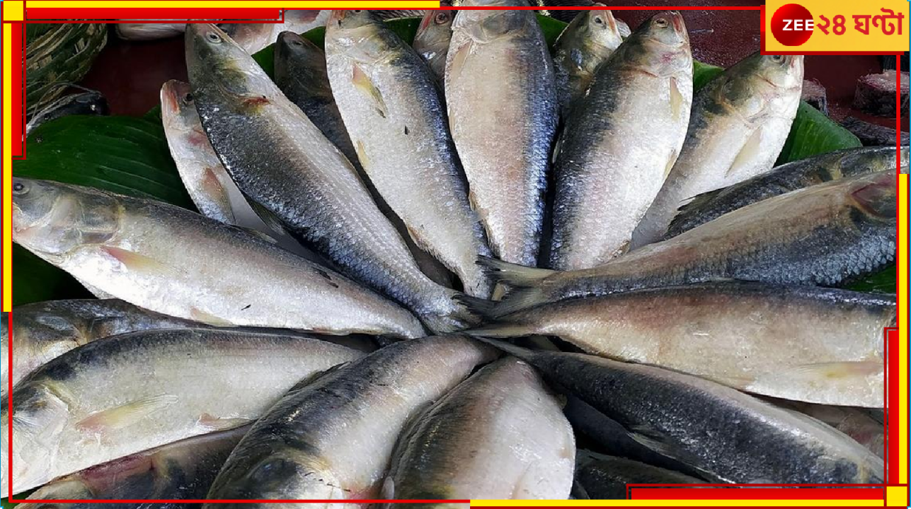 Jamai Sasthi 2024: জামাই ষষ্ঠীতে ভরসা মায়ানমারের ইলিশই! ব্রহ্মদেশের রুপোলি শস্যেই ছেয়েছে বাজার... Jamai Sasthi 2024: জামাই ষষ্ঠীতে ভরসা মায়ানমারের ইলিশই! ব্রহ্মদেশের রুপোলি শস্যেই ছেয়েছে বাজার...
