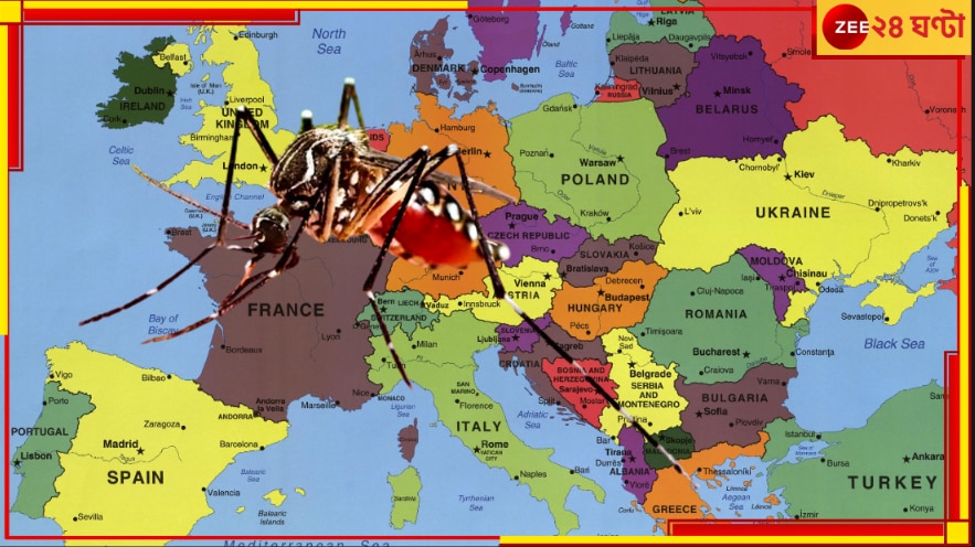 Dengue in Europe: এবার ইউরোপে আক্রমণ শানাল ডেঙ্গি মশা! অলিম্পিক্সের আগেই ভরাডুবি?