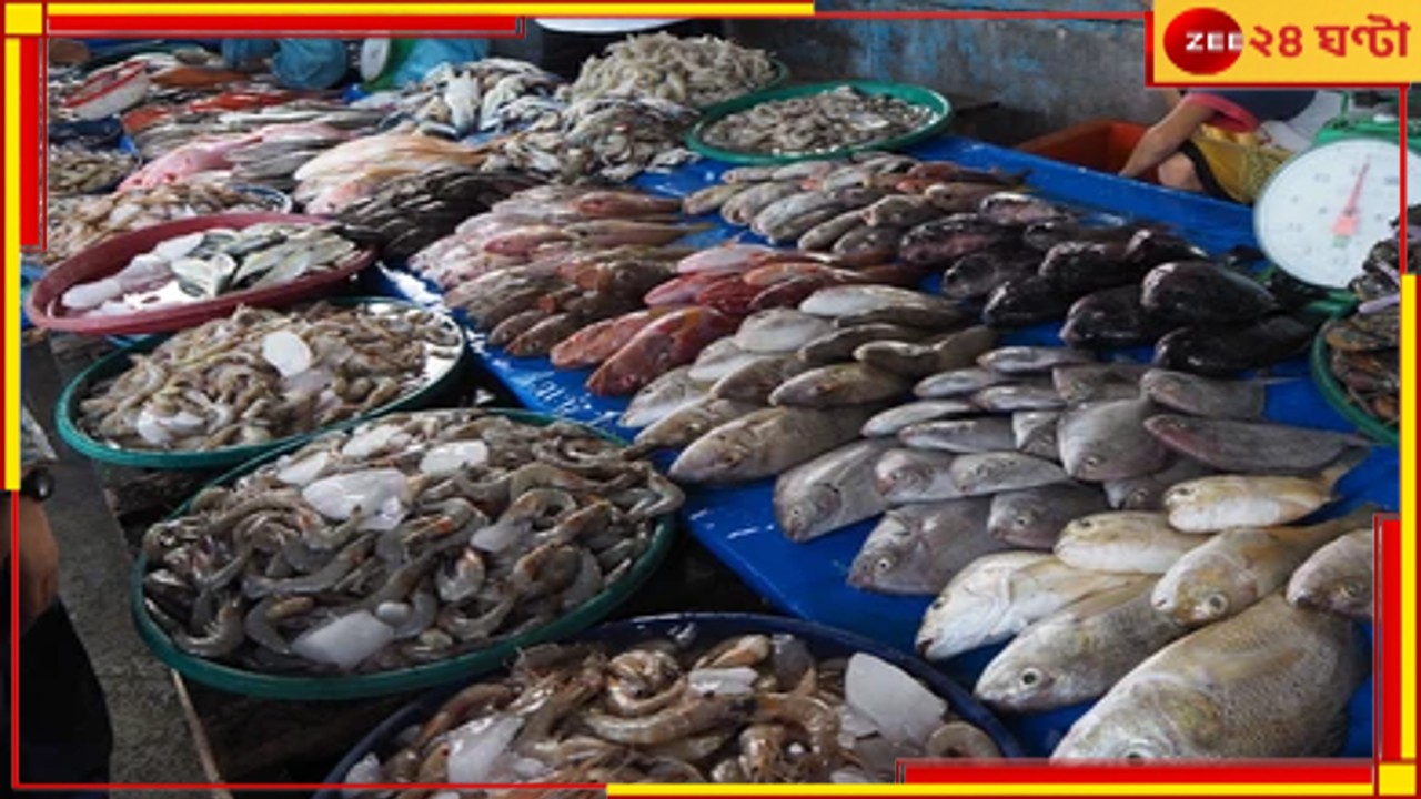 Chinsurah News: ফর্মালিন দেওয়া মাছ বিক্রি! অভিযোগে তদন্তে বাজার অভিযানে স্বাস্থ্য দফতর... Chinsurah News: ফর্মালিন দেওয়া মাছ বিক্রি! অভিযোগে তদন্তে বাজার অভিযানে স্বাস্থ্য দফতর...