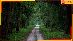 ১৬ জুন থেকেই টানা তিন মাস পর্যটকদের জন্য বন্ধ থাকবে সমস্ত জঙ্গলের দরজা...