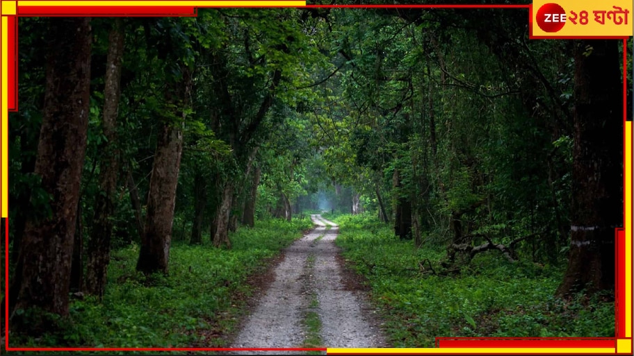 Dooars Forest Closure: ১৬ জুন থেকেই টানা তিন মাস পর্যটকদের জন্য বন্ধ থাকবে সমস্ত জঙ্গলের দরজা...