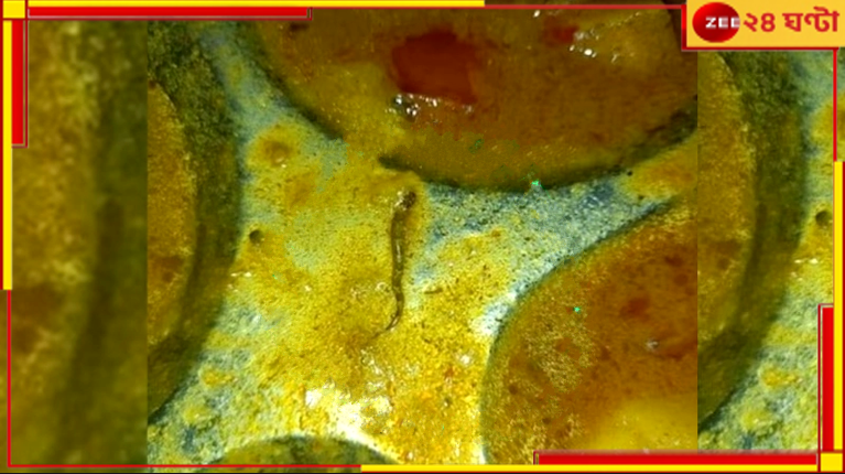 Mess Food: হস্টেলের খাবারে ভাসছে মরা সাপ! গুরুতর অসুস্থ নামী ইঞ্জিনিয়ারিং কলেজের ১০ পড়ুয়া... Mess Food: হস্টেলের খাবারে ভাসছে মরা সাপ! গুরুতর অসুস্থ নামী ইঞ্জিনিয়ারিং কলেজের ১০ পড়ুয়া...