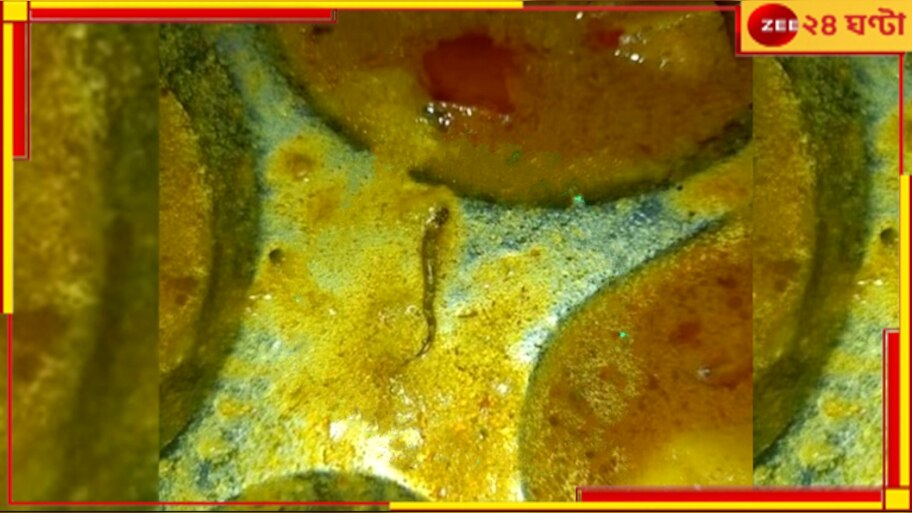 Mess Food: হস্টেলের খাবারে ভাসছে মরা সাপ! গুরুতর অসুস্থ নামী ইঞ্জিনিয়ারিং কলেজের ১০ পড়ুয়া...