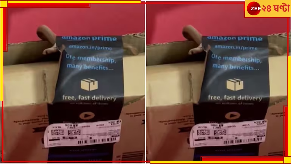 Amazon Package: অ্যামাজনের প্যাকেট এল ঘরে, বিষাক্ত এক গোখরো তাতে নড়ে...