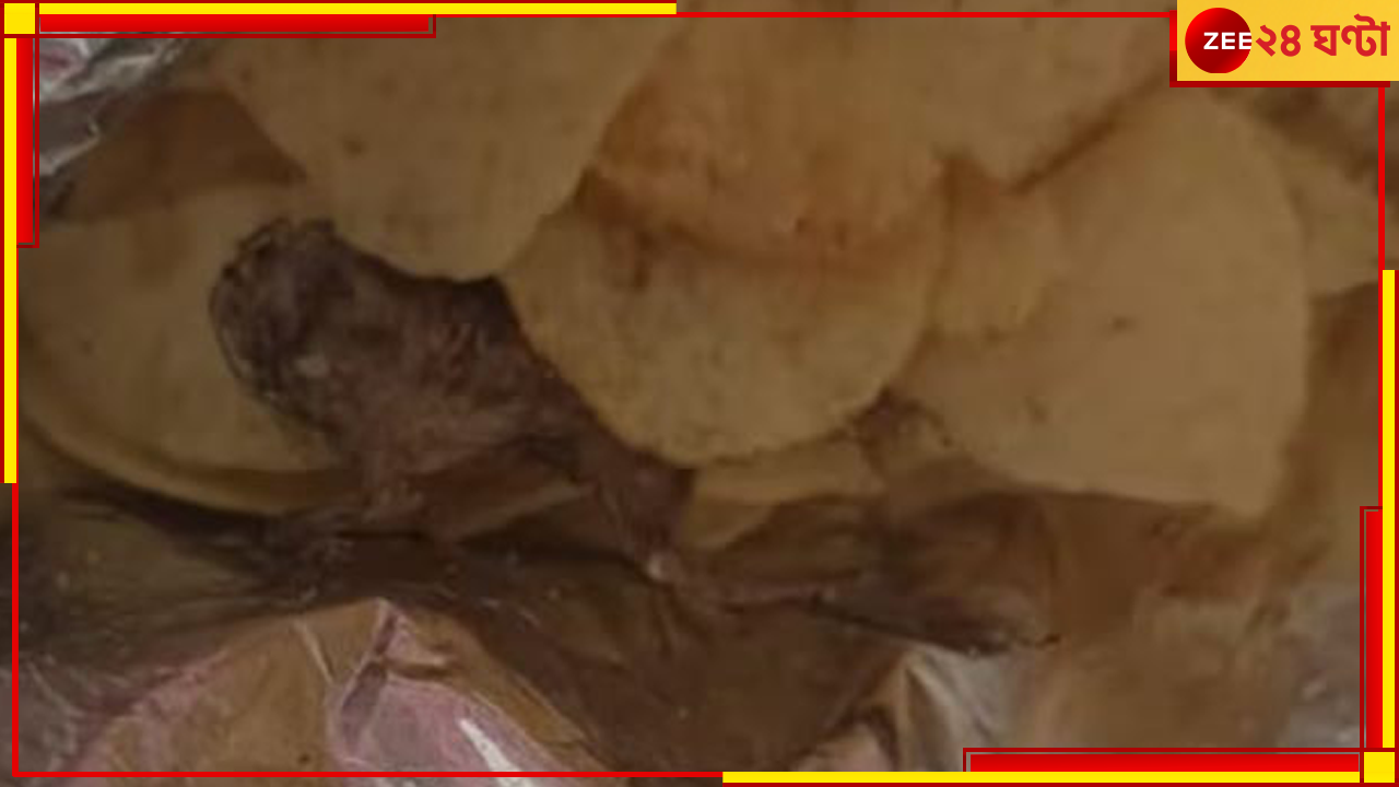 Dead Frog in a packet of Chips: ফের বিপত্তি! নামী সংস্থার চিপসের প্যাকেটে এবার মরা ব্যাঙ! ছড়াল আতঙ্ক... Dead Frog in a packet of Chips: ফের বিপত্তি! নামী সংস্থার চিপসের প্যাকেটে এবার মরা ব্যাঙ! ছড়াল আতঙ্ক...