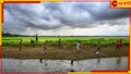 Bengal Weather Update: মাত্র ২ থেকে ৩ ঘণ্টার মধ্যেই প্রাক্ বর্ষার বৃষ্টি! ব্যস! কান পেতে দিন বাদলগানে...