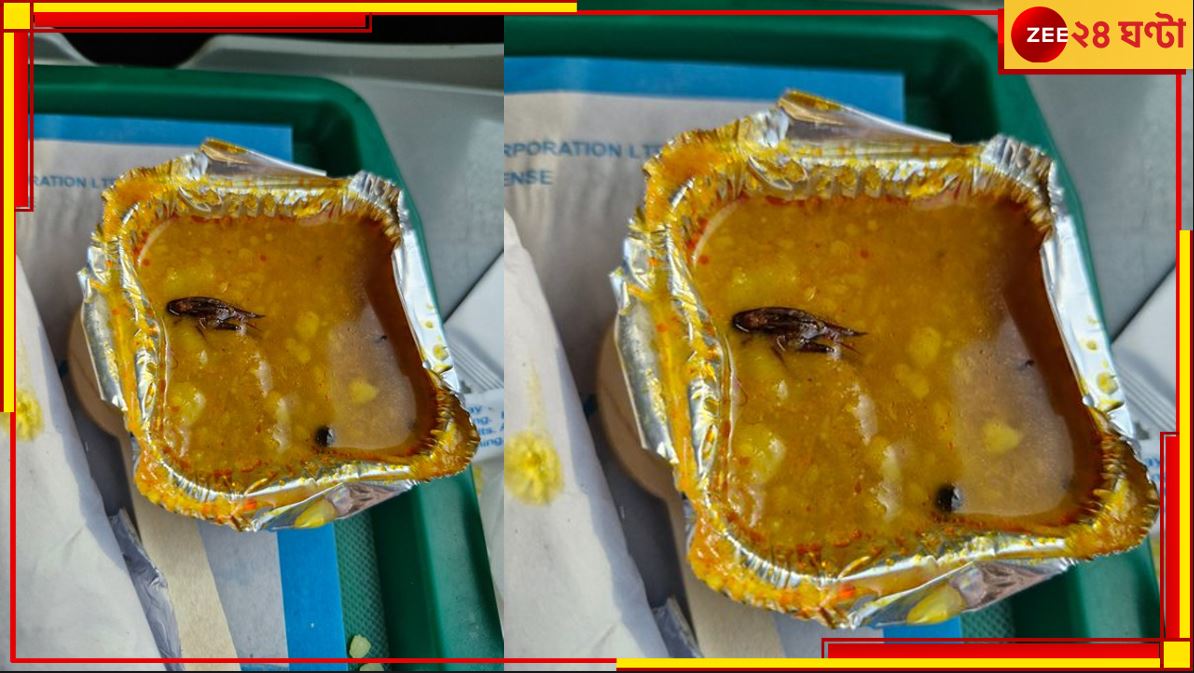 Cockroach in Vande Bharat Meal: দেখলেই গা গুলিয়ে ওঠে! বন্দে ভারতের খাবারের প্যাকেট খুলতেই মিলল মরা আরশোলা...