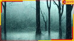 রবিবিকেলের মধ্যেই সর্বত্র ঢুকে পড়ছে বহু প্রতীক্ষিত মৌসুমি বায়ু! আজই নববর্ষার প্লাব