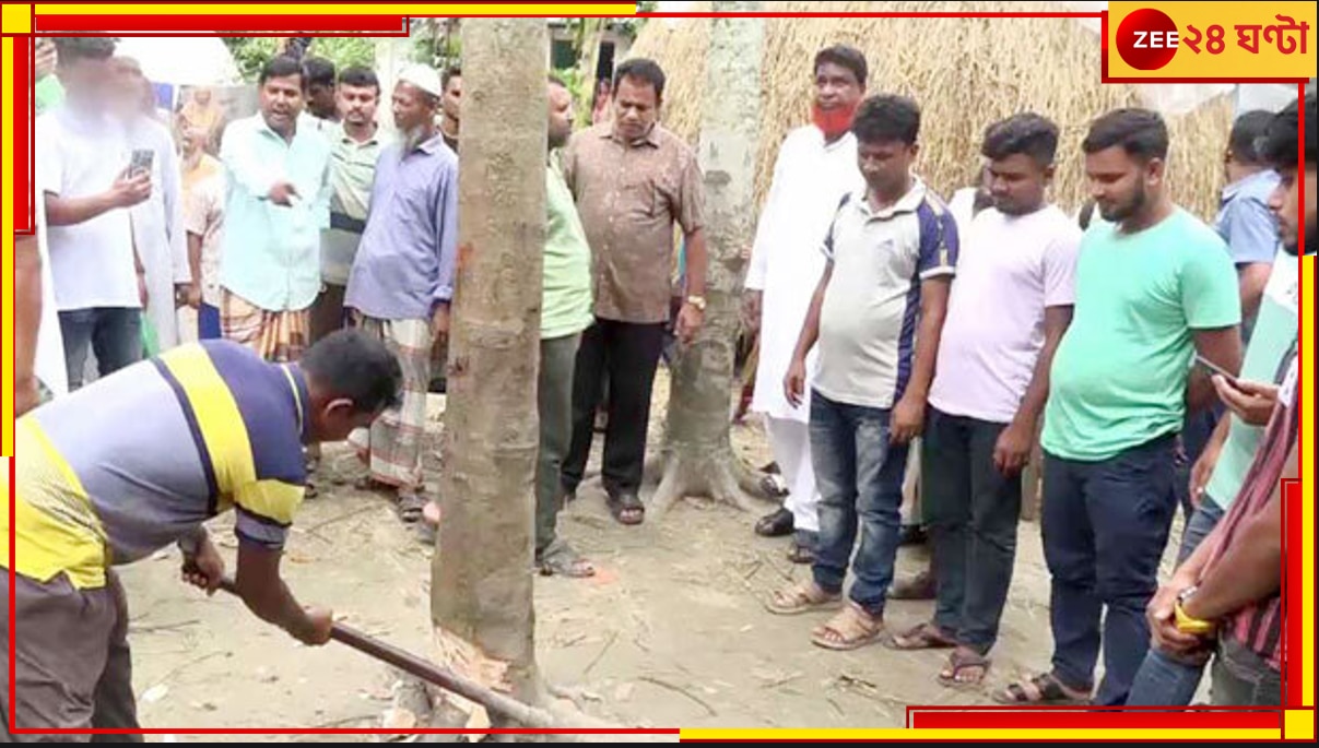 Bangladesh: গাছের ভিতর থেকে ভেসে আসছিল নারীকণ্ঠ! অবশেষে কেটে ফেলা হল সেই &#039;কথা বলা&#039; গাছ... 