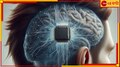 Neuralinks | Elon Musk: ফোনের বিশ্বটাই রাতারাতি অপ্রাসঙ্গিক হয়ে যাবে! নতুন কোনো প্রযুক্তি আসছে, নাকি...