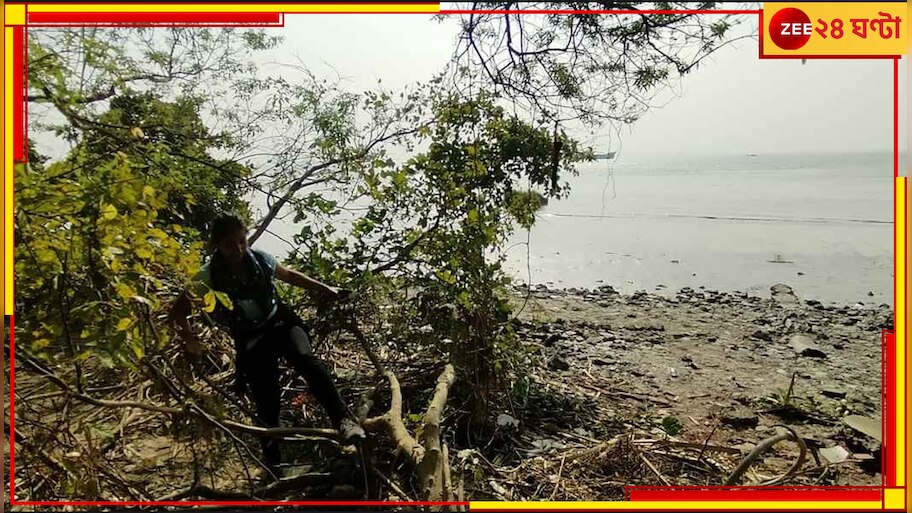 Diamond Harbour: নদীর চরের ম্যানগ্রোভ কেটে ফিশারি কেন? কার অনুমতিতে? বাধা দিলেন গ্রামবাসী...