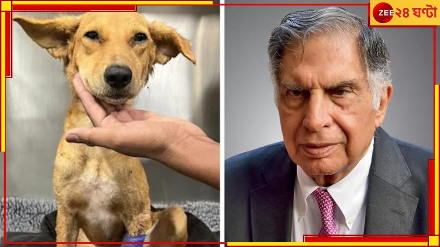 Ratan Tata: অসুস্থ পথকুকুরের জন্য হাতজোড় করে রক্ত চাইছেন রতন টাটা! আপনিও দেখুন প্লিজ...