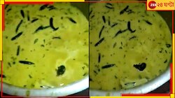 হস্টেলের খাবারে সাঁতার কাটছে জলজ্যান্ত ইঁদুর! রাগ-ঘেন্নায় বুক ফাটছে পড়ুয়াদের...