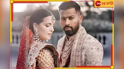 '৪ বছর একসঙ্গে থাকার পর....', বিবাহবিচ্ছেদ ঘোষণা হার্দিক-নাতাশার!