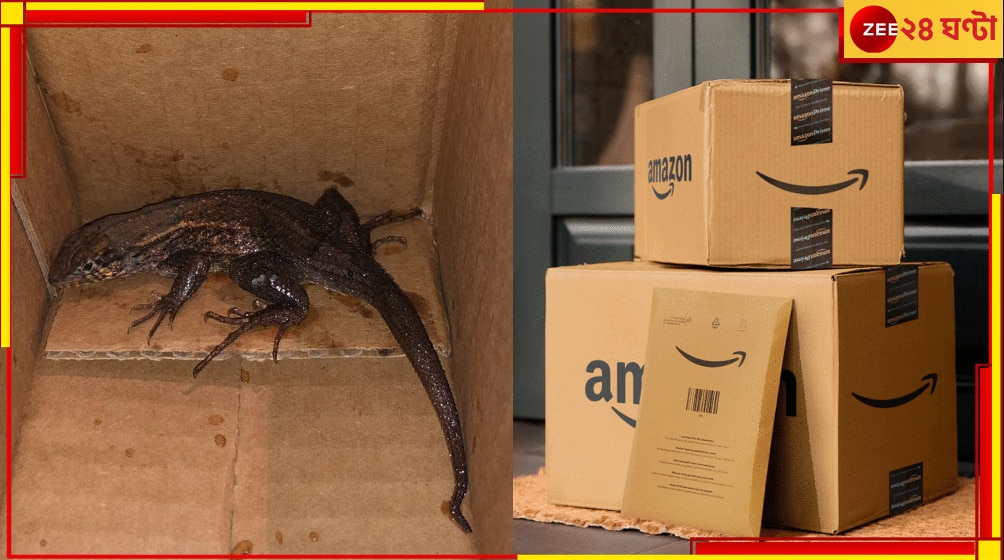 Amazon package: গোখরোর পর এবার আস্ত গিরগিটি! অ্যামাজন প্যাকেজে নতুন আতঙ্ক...