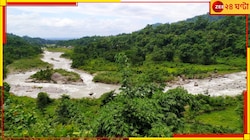 ডুয়ার্সের নদীতে নদীতে কিলবিল করছে রাক্ষুসে খুদে 'কুমির'! পা দিলেই...