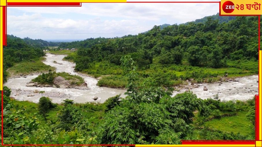 Crocodile Fish: ডুয়ার্সের নদীতে নদীতে কিলবিল করছে রাক্ষুসে খুদে 'কুমির'! পা দিলেই...
