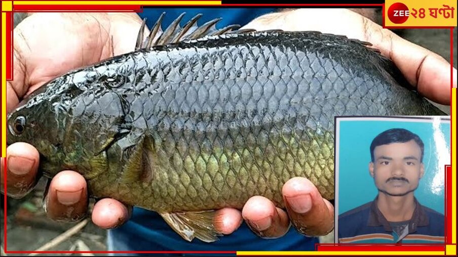 Koi Fish | Jamalpur Incident: জ্যান্ত কই গলায় আটকে মৃত্যু  যুবকের! শোনা হল না 'বাবা' ডাক...