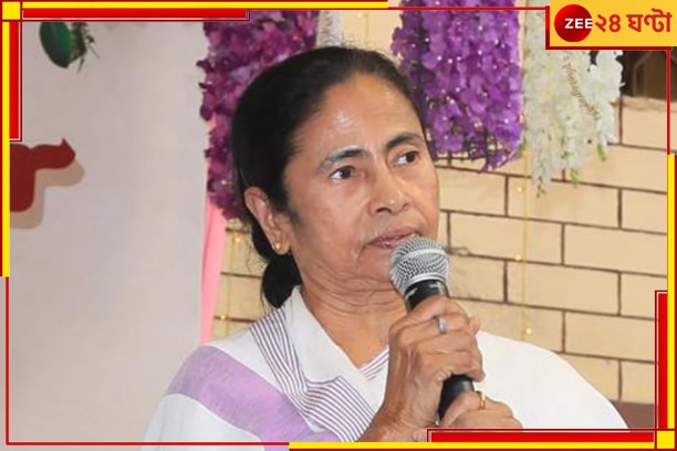 Mamata Banerjee: এবছর ১৫ হাজার! ক্লাবগুলি ফের অনুদান দেওয়ার সিদ্ধান্ত রাজ্যের...