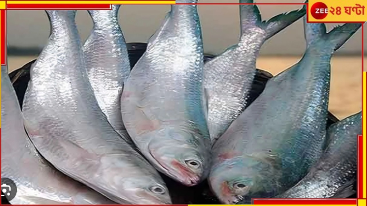 Bangladesh Protest | Hilsa: অশান্ত বাংলাদেশ! পুজোর আগে রাজ্যে আসবে তো ইলিশ? সংশয়ে ব্যবসায়ীরা..