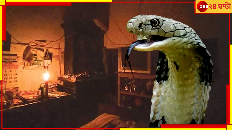 Power Outage: এক ছোবলেই সে অন্ধকার ডেকে আনল হাজার হাজার মানুষের জীবনে... Power Outage: এক ছোবলেই সে অন্ধকার ডেকে আনল হাজার হাজার মানুষের জীবনে...