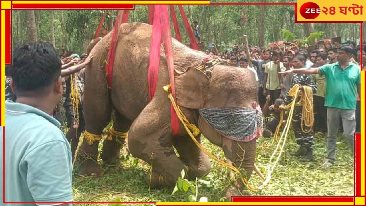 Elephant Death: পিঠে জ্বলন্ত রড, হাতির মৃত্যু ঘিরে উত্তাল ঝাড়গ্রাম, বীরবাহা হাঁসদার বিরুদ্ধে একগুচ্ছ অভিযোগ...