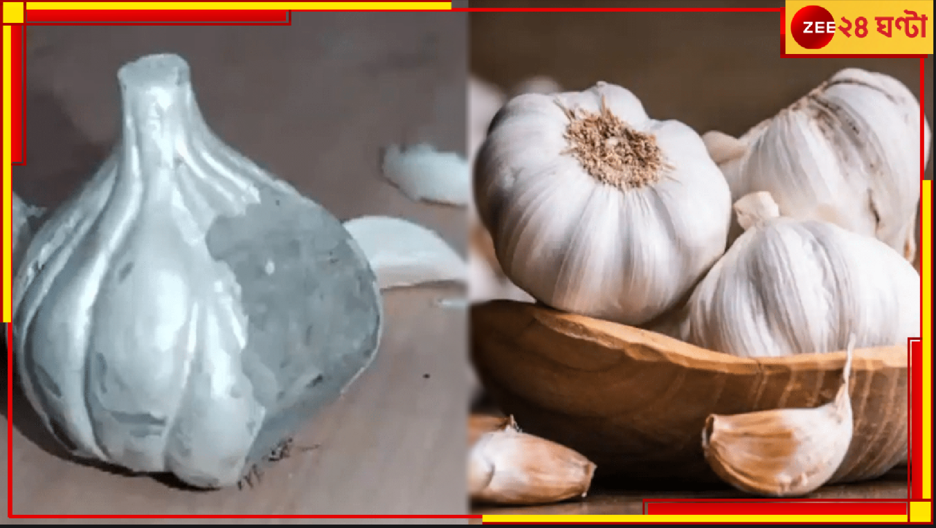 Fake Garlic: ভয়ংকর! অগ্নিমূল্য রসুনের মধ্যেই ব্যবসায়ীরা মিশিয়ে দিচ্ছেন সিমেন্টের তৈরি এই জিনিসটি... Fake Garlic: ভয়ংকর! অগ্নিমূল্য রসুনের মধ্যেই ব্যবসায়ীরা মিশিয়ে দিচ্ছেন সিমেন্টের তৈরি এই জিনিসটি...