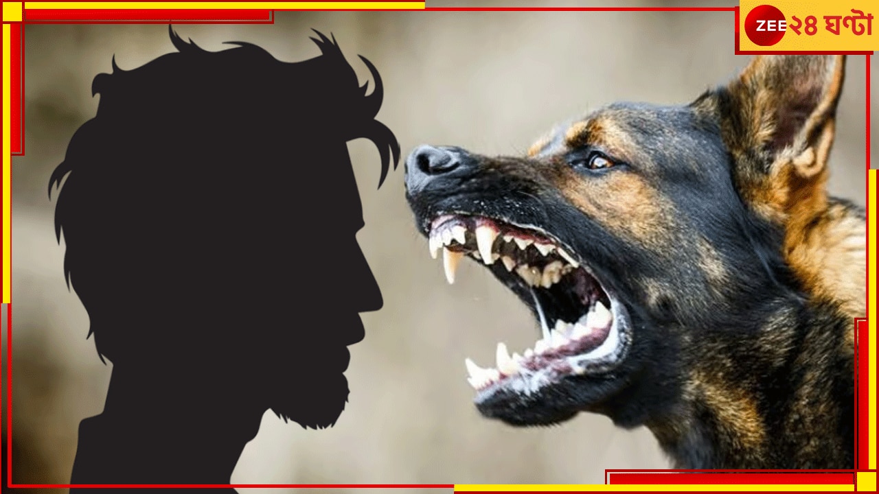 Man Behaving Like A Dog:  খাচ্ছেন কাঁচা মাংস, ধরে ধরে কামড়াচ্ছেন পথচারীদের, সাফাইকর্মী এখন &#039;খ্যাপা কুকুর&#039;!