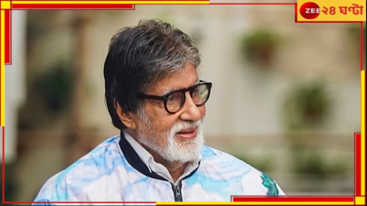 Amitabh Bachchan: টাকায় টাকা বাড়ে, এবার সুইগির মালিক হলেন অমিতাভ! 