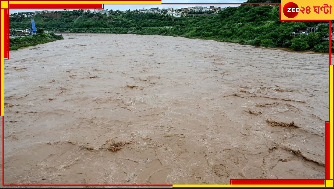Madhya Pradesh: ভয়ংকর! বর্ষার ভরা নদীতে জীবন্ত ফেলে দেওয়া হল ৫০ গরু! Madhya Pradesh: ভয়ংকর! বর্ষার ভরা নদীতে জীবন্ত ফেলে দেওয়া হল ৫০ গরু!